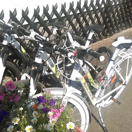 Papillon Affittacamere