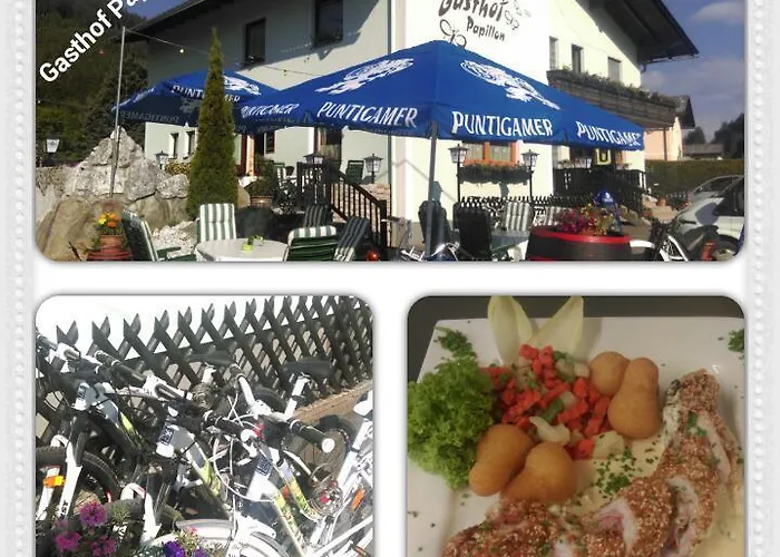 Papillon بيت ضيافة